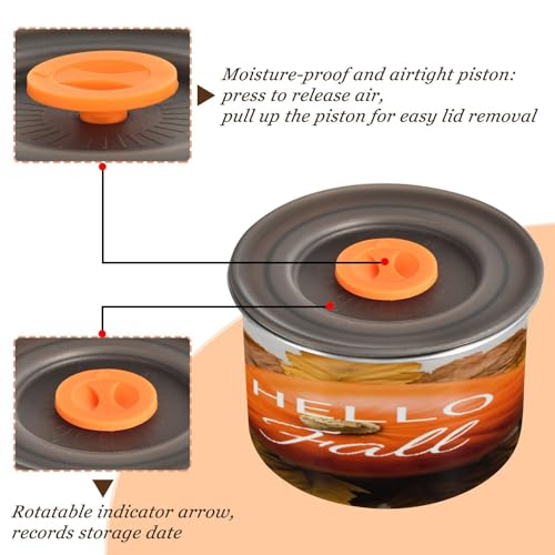 Contenedor Hermético de Acero Inoxidable STAYTOP 17oz miniatura 3