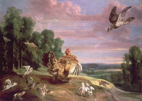 Images peintures Frans Snyders le faucon et la poule decoration salon grand format