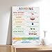 Adverbs Educational Infographic, English Grammar Lesson, Illustrations And Examples Poster Print for Teen Boys Room Wall Art Canvas Painting Print 12x18inch(30x45cm)