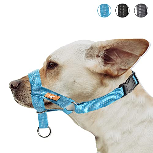 Dog Head Collar With Silk Thread, Soft And Adjustable Head Halter Collar For Small Medium Large Dogs In Striped Pattern(L,Blue) #TOP3