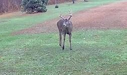 Review Image by Randy Good Randy Good