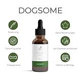 dogsome Nerven Liquid Unterstützt das Nervensystem deines Hundes | Beruhigung Hund | Stress Hund | Nerven Hund - Relax Hund | von Tierärzten entwickelt