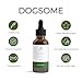 dogsome Nerven Liquid Unterstützt das Nervensystem deines Hundes | Beruhigung Hund | Stress Hund | Nerven Hund - Relax Hund | von Tierärzten entwickelt