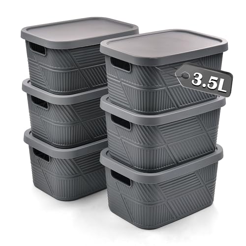 LYLIDIA 6 Stück 3.5L Aufbewahrungsbox mit Deckel, Kleine Box aus...
