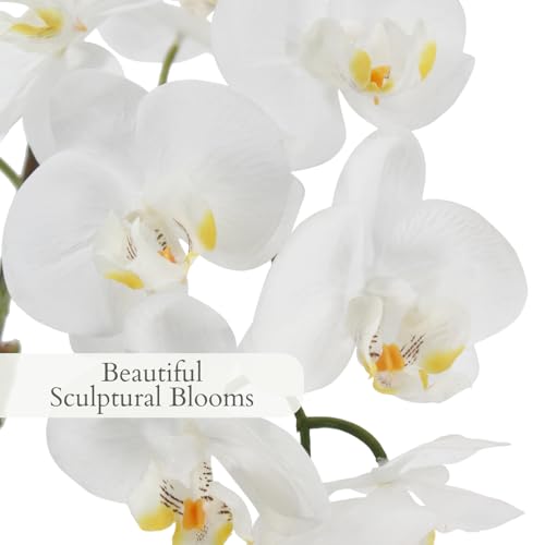 Image of CG Hunter, Faux Phalaenopsis White Orchid Plant, 21 in, White, Home Decor