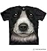 The Mountain Border Collie Adult T-Shirt, Black, Large