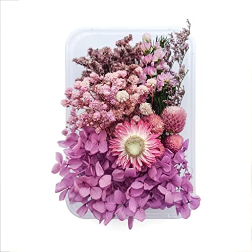 Flores secas reales para manualidades y joyería DIY