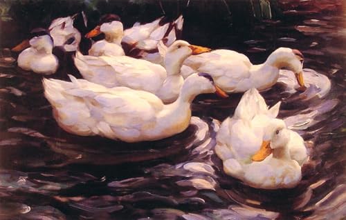 Tableau Six canards dans l'étang déco salon nature œuvre Alexander Koester 60x90