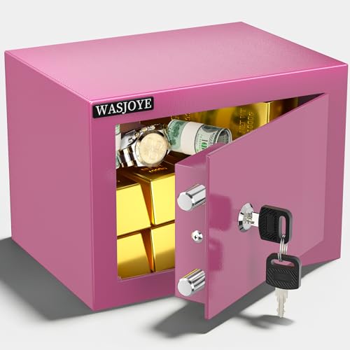 WASJOYE Caja Fuerte Pequeña  23 * 17 * 17cm Caja Fuerte Niños Caja Fuerte con llave   Rosa Pequeña Caja Fuerte para el Hogar, Negocios, Oficinas, Dinero, Joyas, Pasaportes, 6.8L