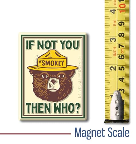 Imán Smokey Bear 'If Not You' 2.4" x 3.1" Vintage miniatura 2