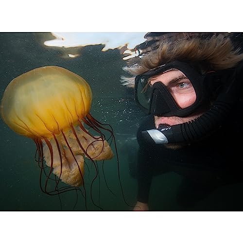 Atomic Aquatics Venom Máscara de Buceo sin Armazón con Falda de Silicona Rígida | Máscara de Natación Ultra Clara y Cómoda para Buceo y Snorkel miniatura 4