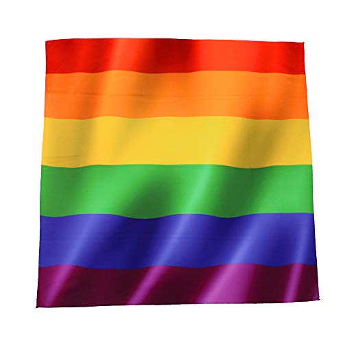 BlueSkyDeer Gay Pride Rainbow Bandana Headband for Festivals Party Celebration and Daily Wear (Gay Pride)