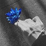  Tonos Azules