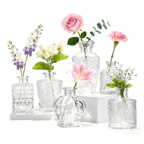 BTSD-home Glass Bud Vases Set of 6, Small Vases for Flowers, for Table Decorations, Wedding Decor and Home Decor