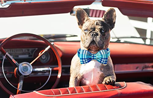 Image of DOGWONG Plaid Dog Collar with Bow tie-Summer Cotton Dog Collar Blue Plaid Pet Collars Comfortable Cute Collars for Small Medium Large Dogs