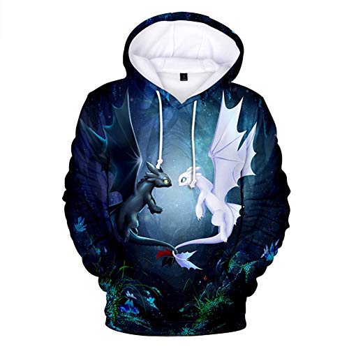 3D Cómo Entrenar A Tu Dragón Sudadera Niño 3D Sudaderas