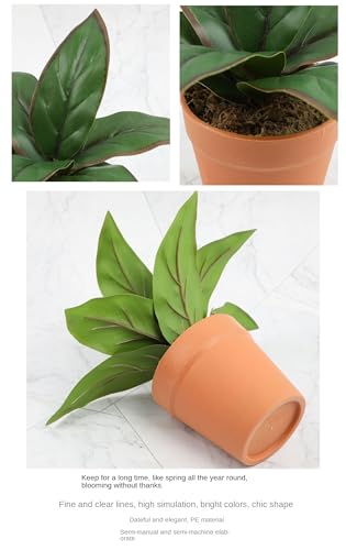 Plantes artificielles à feuilles persistantes et pots durables - 5