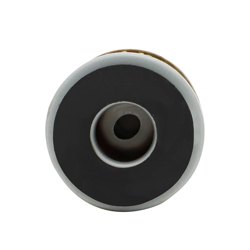R125 Filtro dell'olio for Yamaha WR250F WR450F WR250X WR250R YZ450F YZ250F YZ250 YFZ450 YZF R125 125 WR 125R 125X YZ 250 250F 450F 450(Color:Pack 15)