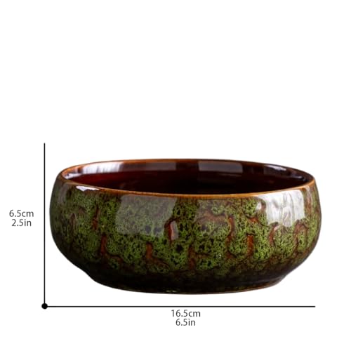 Grand récipient hydroponique pour plantes grasses et plantes de lotus – Glaçage non poreux idéal pour l'intérieur – Jardinière d'eau et bol à bonsaï avec graines de lotus – Parfait pour la décoration