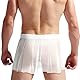 Bommi Fairy Herren Sexy Höschen Sissy Knickers Mesh Slip Stretch Niedrige Taille großen flachen Rock Hot Dress Funny Unterwäsche (DE/NL/SE/PL, Numerisch, 42, Regular, Regular, Weiß)