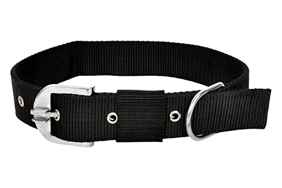 Toms Pet Mall Durable Heavy Duty Nylon Neck Collar Belt with Adjustable Buckle for Playing/Training/Walking Dogs and Puppies (Black, Large) (B0BZDQMSFJ) Amazon Price History, Amazon Price Tracker