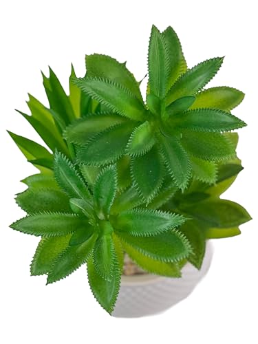 Image of Artificial Succulent Plant in White Ceramic Pot, Realistic Faux Greenery for Home Office Desk Tabletop Decor, Low Maintenance Long-Lasting Indoor Decorative Plant (B)
