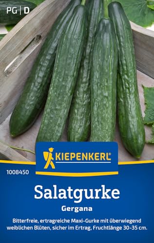 Kiepenkerl Salatgurkensamen Gergana 1008450 - Bitterfrei - Ertragreich - Fruchtlänge 30-35 cm - Inhalt für 35 Pflanzen - Gemüsesamen Samen Gemüse Saatgut