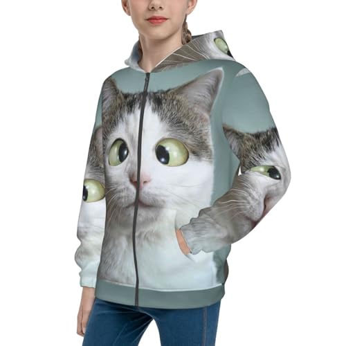 Funny Cat Kids Pullover Hoodies Boys Zip Up Sweatshirts Girls Athletic Clothes with Pocket
