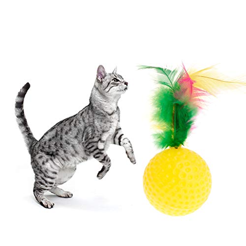 yhdcc44 Cat Golf Ball Feather Colorful Toys, Squeaky Chew Play Intelligent Interactive Funny Pet Dog Puppy Kitten Supplies - Image 6