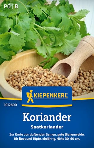 Kiepenkerl Koriandersamen Saatkoriander 1012600 Aromatische Gewürzsamen für kreative asiatische Küche Kräutersamen für Garten & Töpfe Kräutersamen für 70 Pflanzen