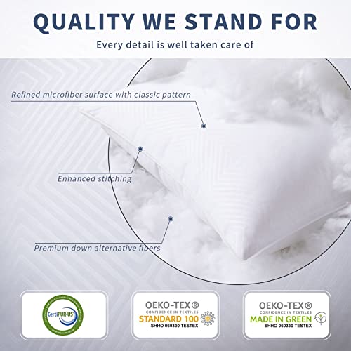 Mr.ye Bed Pillows For Sleeping Queen Size 2 Pack Premium Luxury Hotel Quality Soft Pillows Down Alternative Filling For Back, Stomach Or Side Sleepers, 20 X 30 Inches #TOP2