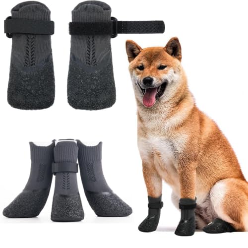 Nikkashop  C ~ p\bNX  h S  ₷ }WbNe[vt O  O U y ₷ ^ ^ XLTCY ubN