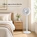 Imagen de RAYPOW Ventilador de Pie 10 Pulgadas 25,4 cm, 80W