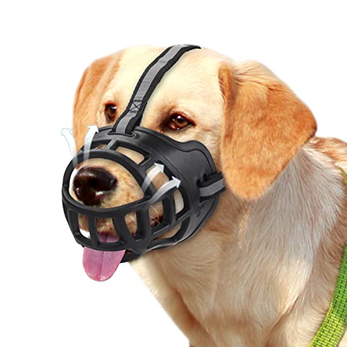 Top 10 Best Muzzle For Aggressive Dog Reviews & Buying Guide Katynel