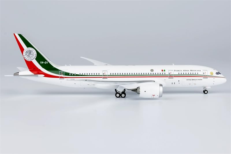 Amazon.com: ACE HOBBY NG Models Mexican Air Force for Boeing B787
