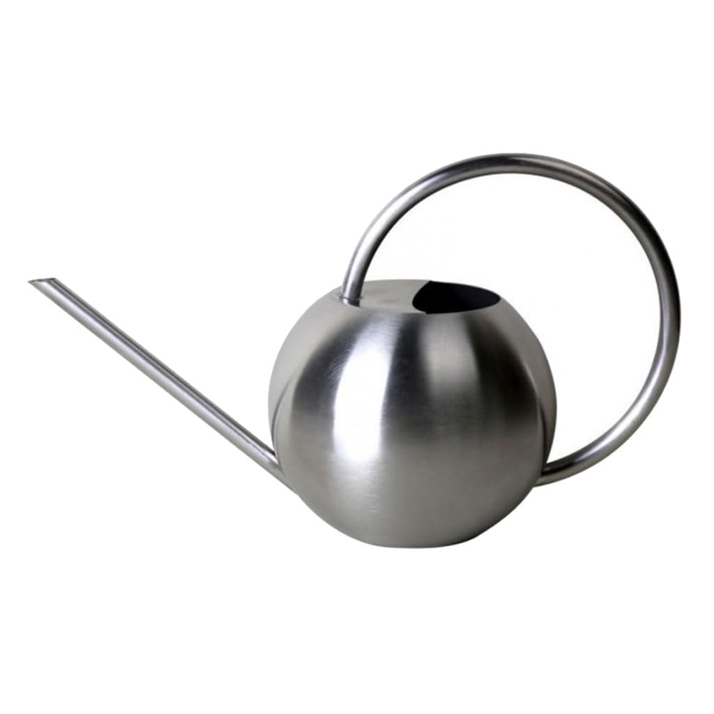 Arrosoirs Arrosoir en Acier Inoxydable 1L, Pot d'arrosage de Fleurs à Long Bec avec poignée, Outil de Jardin 33.8oz