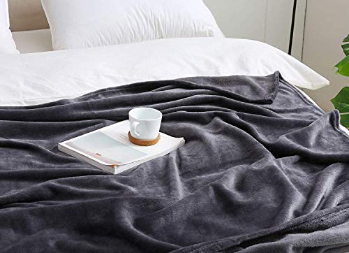 Beautex Fleece Blanket Twin Size Grey Blanket Throw Super Soft Flannel Blanket Lightweight Fuzzy Plush Blanket For Couch Sofa Or Bed All Seasons (Graphite Grey, 60" X 80") #TOP2