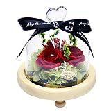 MVPKK Cadeau De La Saint-Valentin Rose Eternelle Rose en Soie Rouge et Lumière LED avec Pétales tombés dans Une coupole en Verre sur Socle en Bois pour la décoration(15.5x15.5x16cm, 02Multicolore)