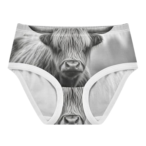 Bright Toddler Underwear Custom 2t Cotton Panties Little Girl Black White Highland Cow Undies Kids Briefs