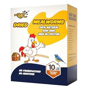 RANZ 10LBS Non-GMO Dried Mealworms for Chickens, High Protein Meal Worms, Premium Chicken Feed, Perfect Bird Food and Chicken Treats, Whole Large Mealworms for Wild Birds, Ducks, Fish