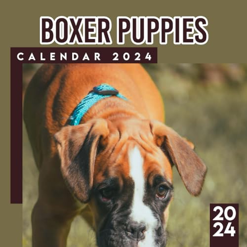  Boxer Puppies Calendar 2024-2025: 12 Month Animals Calendar 2024 From January to December, Bonus 6 Months 2025 Thick Sturdy Paper Giftable 2024 Calendar Unique Christmas Gift
