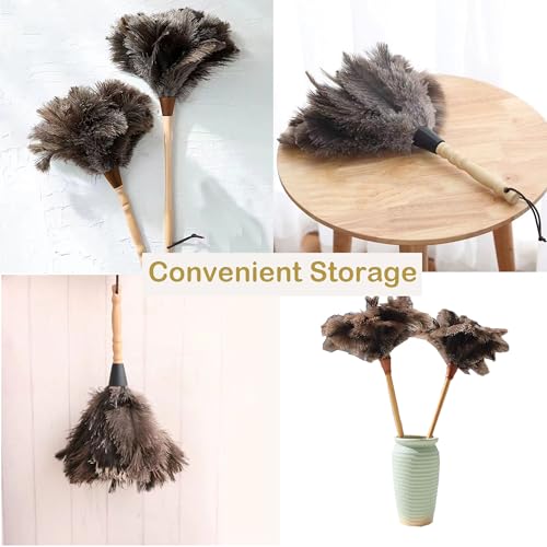 Image of Ostrich Feather Dusters, Naturally Soft, Easy to Dust, Multi-Purpose Use, Solid Wood Handle, 17.3'' Long, Gray