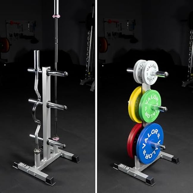 Valor Fitness Weight Rack for Olympic & Standard Plates - Bumper Plate & Olympic Barbell Storage for Clean, Organized Home or Garage Gym