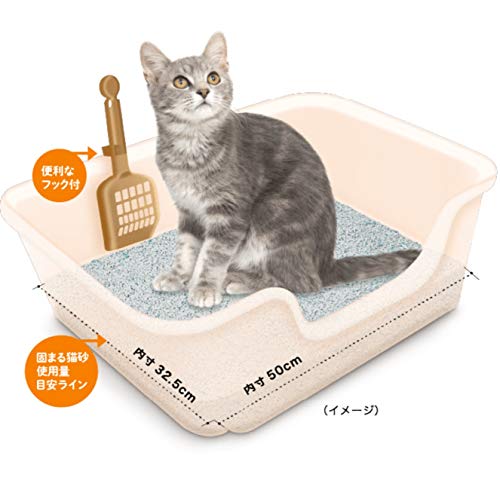 猫の膀胱炎・鼻血】コロナ禍の猫のストレス│麒麟Room