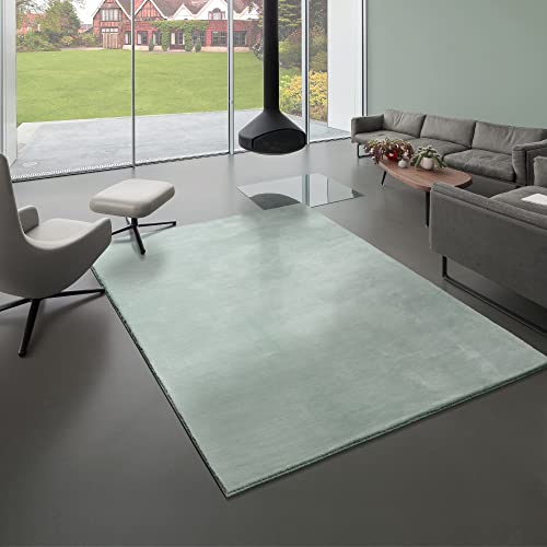 Mia´s Teppiche Bella Kuscheliger Hochflor Langflor Wohnzimmer Fellteppich, Super Soft, Kunstfell,...