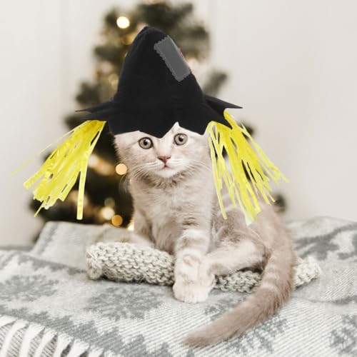 Sombrero espantapájaros para perros pequeños Halloween miniatura 7