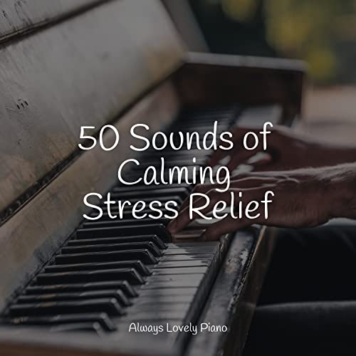 Thai Buddhist bliss deep meditation music for spiritual practice