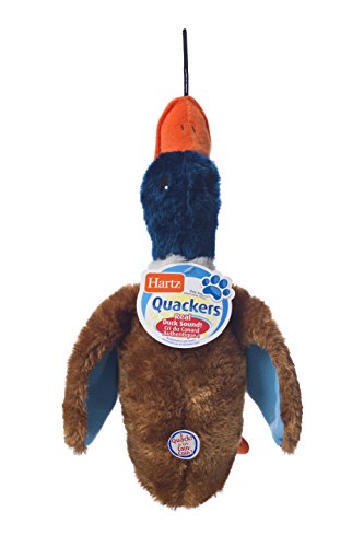 Hartz Nature's Collection Quackers Plush Duck Dog Toy - Large #TOP4