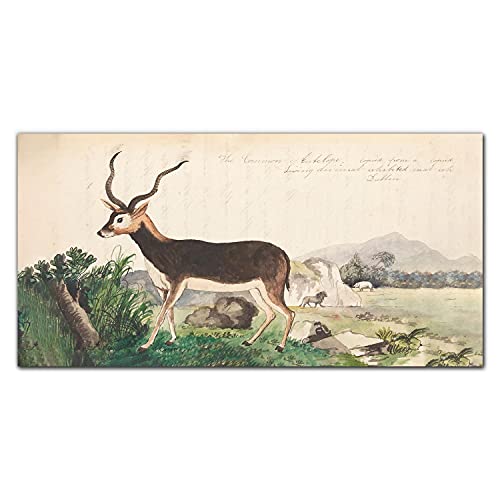 Verre trempé artistique 100x50cm tableau haut de gamme gazelle