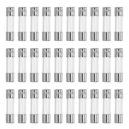 QUARKZMAN 30 Stück Glassicherung Feinsicherungen 1A Sicherungen 5x20mm Schnellschlag Glasrohrsicherung Sortiment Set